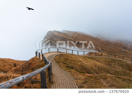 Foggy Seceda ridge trail with autumn grassland and soaring bird in Dolomites, Italy Foggy Seceda ridge trail with autumn grassland and soaring bird in Dolomites, Italy 137670920