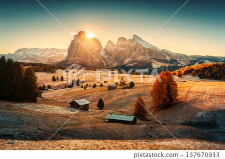 Sunrise over Alpe di Suisi with Sassolungo and Sassopiatto mountian peak on grass hill in Dolomites Sunrise over Alpe di Suisi with Sassolungo and Sassopiatto mountian peak on grass hill in Dolomites 137670933