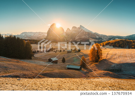 Sunrise over Alpe di Suisi with Sassolungo and Sassopiatto mountian peak on grass hill in Dolomites 137670934