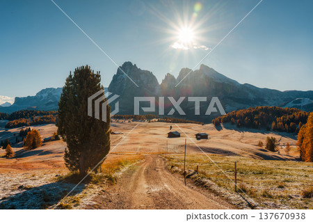 Early morning lighjt on Alpe di Siusi with autumn meadow, dirt road and rustic huts in Dolomites, Italy Early morning lighjt on Alpe di Siusi with autumn meadow, dirt road and rustic huts in Dolomites, Italy 137670938