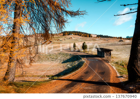 Autumn countryside road through alpine hill in Alpe di Siusi, Dolomites, Italy Autumn countryside road through alpine hill in Alpe di Siusi, Dolomites, Italy 137670940