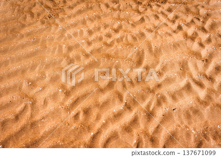 Golden beach sand texture with natural ripples pattern 137671099