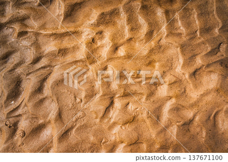 Golden beach sand texture with natural ripples pattern 137671100