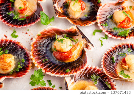 Cooked scallops with parsley Cooked scallops with parsley 137671453