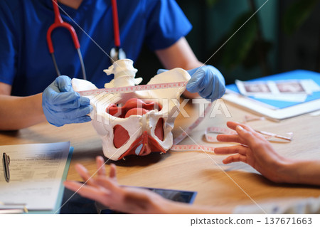 Medical professionals measure a pelvis model during a teaching session in a well-lit clinic 137671663