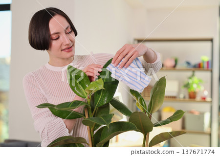Caring for houseplants while enjoying sunlight in a cozy indoor space 137671774