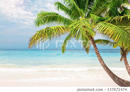 Beautiful white sand beach with turquoise water, tropical palm trees and blue sky with clouds in Punta Cana, Dominican Republic. 137672474