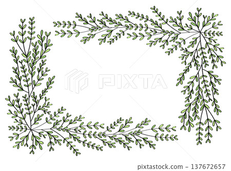 Hand drawn rectangular frame of branches and leaves from bushes and trees. Aesthetic border of evergreen plants. Ideal for decorating and framing flyers, greeting cards, covers, posters, invitations. 137672657