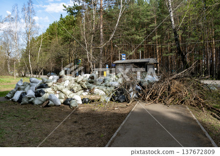 Illegal Dumping Of Garden Waste And Trash Bags Piled Beside Bus Stop In Forest Park Illegal Dumping Of Garden Waste And Trash Bags Piled Beside Bus Stop In Forest Park 137672809