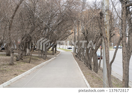 An asphalt sidewalk among bare bushes. An asphalt sidewalk among bare bushes. 137672817
