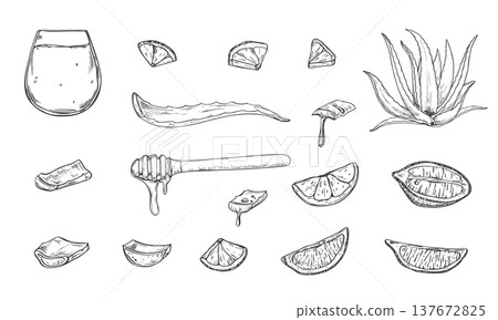 Natural wellness and kitchen ingredients monochrome vector set. Aloe vera leaves, lemon and lime slices, wooden honey dipper with honey, juice glass tumbler. For detox drinks, wellness beverages Natural wellness and kitchen ingredients monochrome vector set. Aloe vera leaves, lemon and lime slices, wooden honey dipper with honey, juice glass tumbler. For detox drinks, wellness beverages 137672825