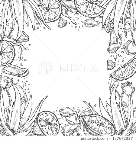Lime and aloe vera, water splashes monochrome vector square border with copy space for text. Citrus fruit, aloe plant with juice drops frame for invitations, labels, drink product, cosmetic packaging Lime and aloe vera, water splashes monochrome vector square border with copy space for text. Citrus fruit, aloe plant with juice drops frame for invitations, labels, drink product, cosmetic packaging 137672827