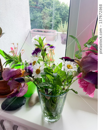 A vase with seasonal flowers sits on a windowsill in an apartment. Sunlight shines through the window, highlighting the colorful blooms and greenery 137672868
