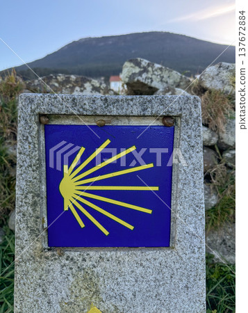 Stone Camino de Santiago waymarker with yellow scallop shell symbol indicating pilgrimage route direction in Galicia countryside, Spain. Hiking route navigation, pilgrimage travel marketing, outdoor Stone Camino de Santiago waymarker with yellow scallop shell symbol indicating pilgrimage route direction in Galicia countryside, Spain. Hiking route navigation, pilgrimage travel marketing, outdoor 137672884