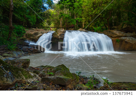 Mae Sa waterfalls near Chiang Mai Thailand surrounded by lush green jungle. Flowing water and tropical forest create serene nature scene, ideal for travel, adventure and eco-tourism concepts. Mae Sa waterfalls near Chiang Mai Thailand surrounded by lush green jungle. Flowing water and tropical forest create serene nature scene, ideal for travel, adventure and eco-tourism concepts. 137673941