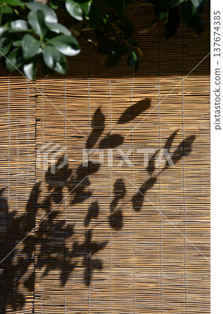 竹簾景觀 竹簾景觀 137674385