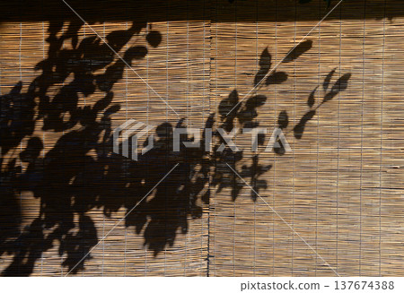 A landscape of bamboo blinds A landscape of bamboo blinds 137674388