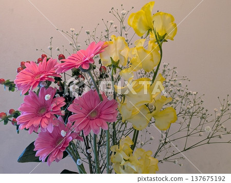 Flowers 137675192