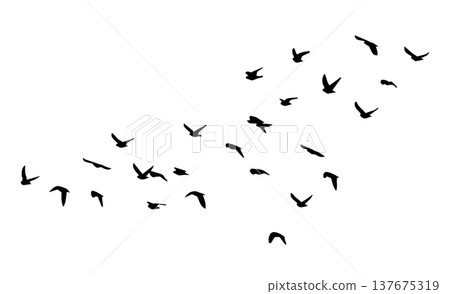 Flying birds silhouette flock. hand drawing. Not AI. Vector illustration 137675319