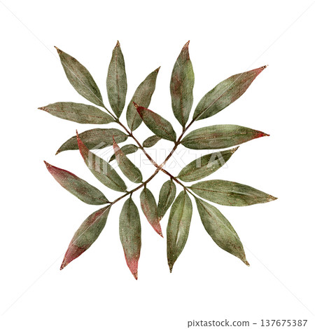 Elegant Botanical Artwork. Minimalist Design Featuring Muted Greens And Terracotta Highlights For Branding Elegant Botanical Artwork. Minimalist Design Featuring Muted Greens And Terracotta Highlights For Branding 137675387
