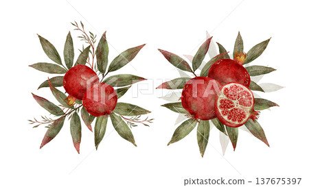 Delicate Watercolor Artwork Showcasing Vibrant Pomegranates With Leafy Stems In Romantic Botanical Style 137675397