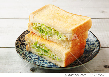 Cabbage sandwich 137675529