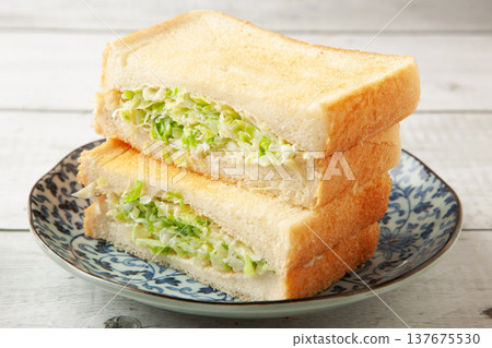 Cabbage sandwich 137675530