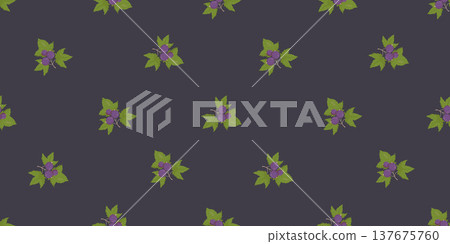 Blackcurrant Seamless Pattern. Branches of Berries with Leaves on Dark Graphite Background. Botanical Horizontal template Ornament. Vector illustration Blackcurrant Seamless Pattern. Branches of Berries with Leaves on Dark Graphite Background. Botanical Horizontal template Ornament. Vector illustration 137675760