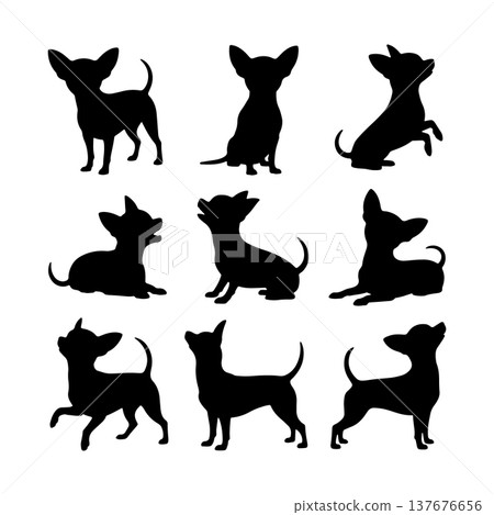 Various silhouettes of chihuahuas in playful and calm poses against a white background Various silhouettes of chihuahuas in playful and calm poses against a white background 137676656