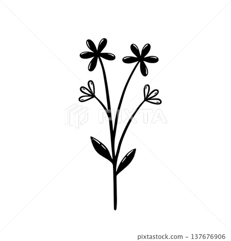 Branch of a plant with flowers and leaves. Botanical floral element. Hand drawn vector illustration isolated on white background. Branch of a plant with flowers and leaves. Botanical floral element. Hand drawn vector illustration isolated on white background. 137676906