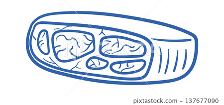 Blue Cheese Hand Drawn Doodle Blue Cheese Hand Drawn Doodle 137677090