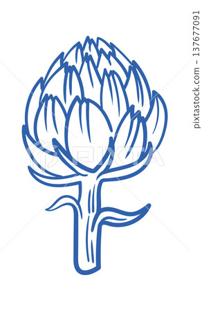 Artichoke Hand Drawn Linework Artichoke Hand Drawn Linework 137677091