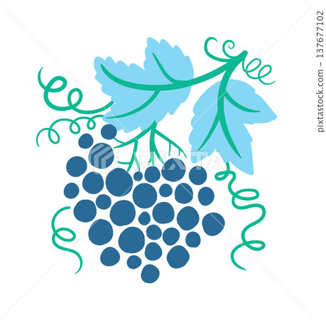 Grape Cluster Hanging Botanical Grape Cluster Hanging Botanical 137677102
