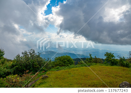 Panoramic view from Doi Inthanon mountain in northern Thailand overlooking lush valley and forest landscape. Scenic highland vista near the highest peak of Thailand. Panoramic view from Doi Inthanon mountain in northern Thailand overlooking lush valley and forest landscape. Scenic highland vista near the highest peak of Thailand. 137677243