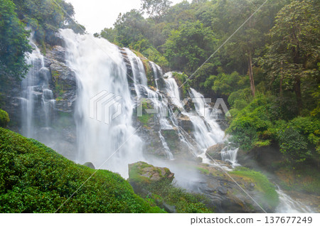 Wachirathan Falls in Doi Inthanon National Park Thailand, powerful 80 meter waterfall cascading from granite cliff amid lush mountain forest near the country highest peak. 137677249