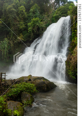 Pha Dok Siew waterfall in Doi Inthanon National Park Thailand surrounded by lush tropical forest. Scenic jungle cascade creating refreshing natural landmark for travel and adventure. Pha Dok Siew waterfall in Doi Inthanon National Park Thailand surrounded by lush tropical forest. Scenic jungle cascade creating refreshing natural landmark for travel and adventure. 137677261