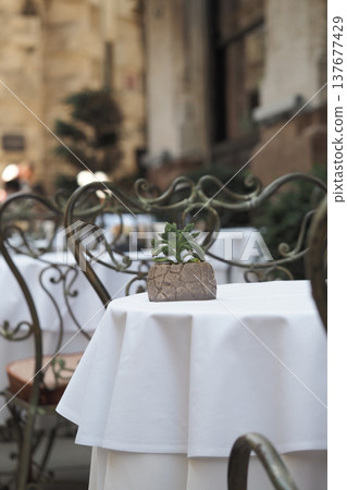 Outdoor table setting with plant in a restaurant 137677429