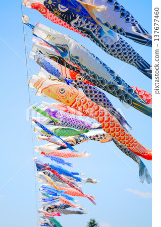 鯉魚旗 鯉魚旗 137677460