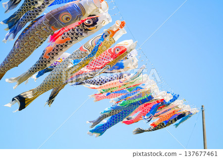 鯉魚旗 鯉魚旗 137677461