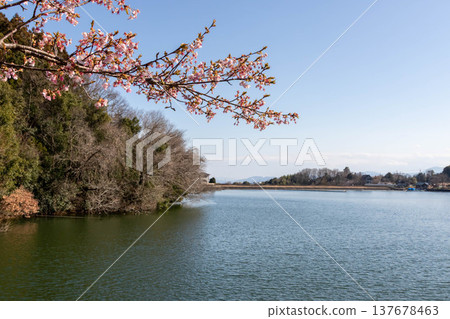 Narusawa Lake in spring, Takasaki City, Gunma Prefecture 137678463