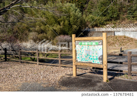 Narusawa Lake Wild Bird Park, Takasaki City, Gunma Prefecture Narusawa Lake Wild Bird Park, Takasaki City, Gunma Prefecture 137678481