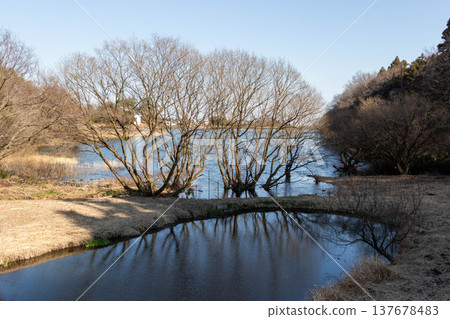 Narusawa Lake Wild Bird Park, Takasaki City, Gunma Prefecture Narusawa Lake Wild Bird Park, Takasaki City, Gunma Prefecture 137678483