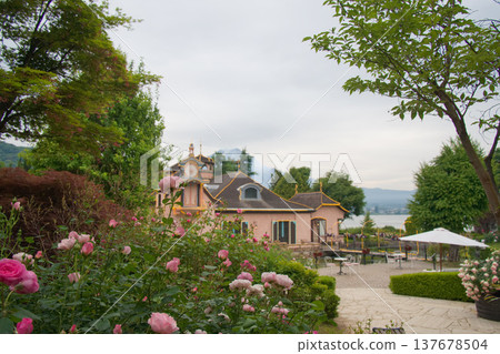 A Western-style garden overflowing with roses and a classic house. A Western-style garden overflowing with roses and a classic house. 137678504