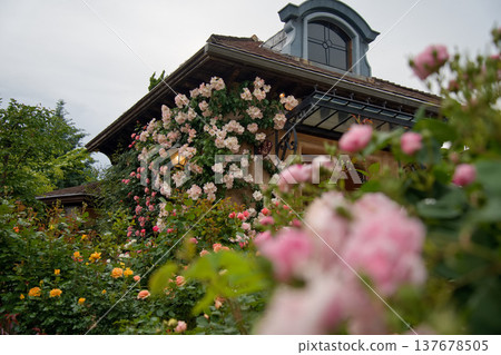 A Western-style mansion surrounded by roses A Western-style mansion surrounded by roses 137678505