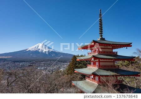 [Yamanashi] Mount Fuji as seen from Arakurayama Sengen Park 137678648