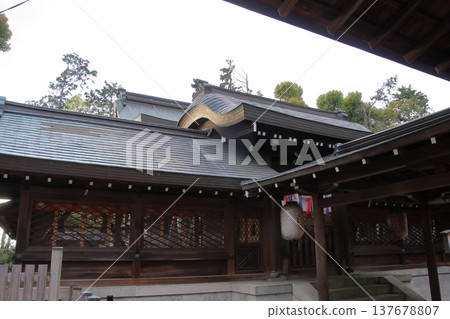 京都宗忠神社的櫻花美景 京都宗忠神社的櫻花美景 137678807