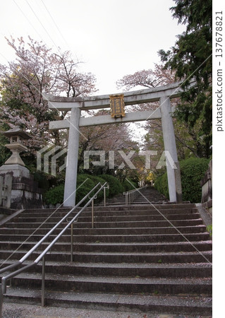 京都宗忠神社的櫻花美景 137678821