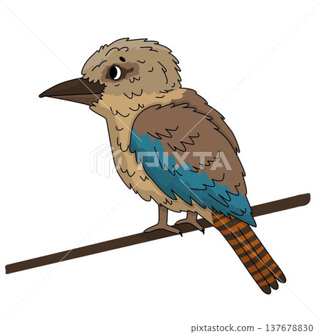 Cute kookaburra cartoon perched on branch isolated on white background. Vector illustration Cute kookaburra cartoon perched on branch isolated on white background. Vector illustration 137678830