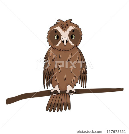 Cute vector brown owl mopoke cartoon perched on branch isolated on white background. Hand drawn illustration Cute vector brown owl mopoke cartoon perched on branch isolated on white background. Hand drawn illustration 137678831
