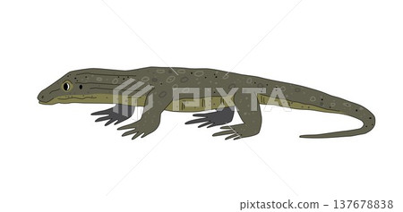 Australian goanna lizard cartoon isolated on white background. Vector illustration Australian goanna lizard cartoon isolated on white background. Vector illustration 137678838